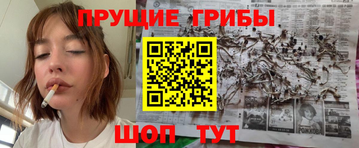 Псилоцибиновые грибы Magic Shrooms Волгодонск