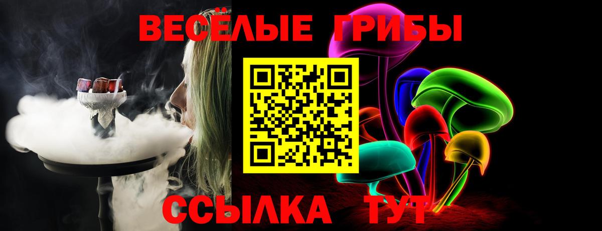 Галлюциногенные грибы Psilocybine cubensis  Вход с VPN  Волгодонск 